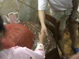 宣城一小学生写错字被妈妈严厉批评 报警：把坏人抓走