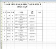 六安市這9人擬被評選為第八批省戰略性新興產業技術領軍人才