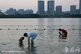 合肥：允许厂房、科研教育用房等改建为租赁住房