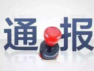 弄虚作假 不作为慢作为 亳州4名干部被通报处分