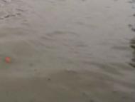 安徽省氣象臺變更發(fā)布暴雨藍色預警信號