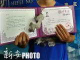 亳州"八学生放弃清北"?清华否认其中2人招录情况