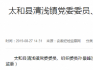 太和县清浅镇党委委员、组织委员孙景峰接受审查调查