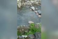 石臺村民用視頻還原山洪爆發驚魂一幕 6名游客中一女童被沖走溺亡