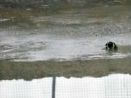 宿松兩少年野泳 不幸溺亡污水池