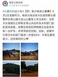 太荒唐！六安有偷砂者竟然偷到公墓里