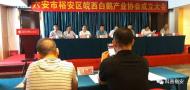 六安市裕安區皖西白鵝產業協會成立 