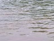 阜阳昨日3名女童不幸落水身亡  最大12岁最小7岁