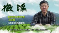 丁以壽周五上午徽派聊茶文化