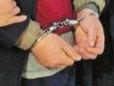 曾因放火被判緩刑 今又盜竊兩罪并罰