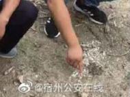 砀山一菜园发现手榴弹拉环已脱落 民警快速处置