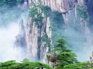 黃山市7月有效涉旅投訴39件 結案率100%