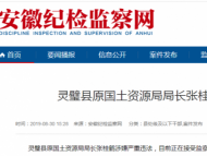 灵璧县原国土资源局局长张桂鹤接受监察调查