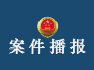 私刻印章 冒充公司高管 金寨這名男子倒霉了