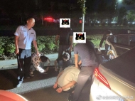 一山還比一山高！詐騙團伙遭遇“黑吃黑”