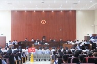 界首法院公开宣判43人涉黑案件  首犯王龙一审获刑24年