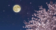  許鑄生：月夜三篇
