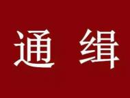 安徽“套路貸”A級通緝逃犯張亞軍被逮捕