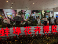 “繽紛花世界?美好新蚌埠”蚌埠市第三屆花卉博覽會28日開幕