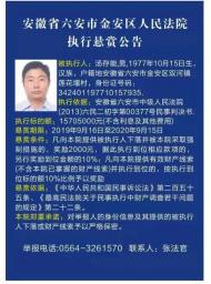 賞金最高157萬余元，六安金安區法院全網懸賞一被執行人
