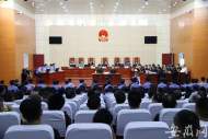 拘禁 斗毆 滋事 勒索！蚌埠一惡勢力團伙被搗毀