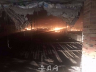 凌晨鴨棚起火 蕭縣民警助千只小黃鴨逃出厄運