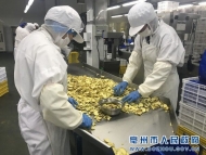  2019世界制造業(yè)大會|請到亳州來 這里熱情常在