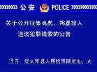 太和县公安局公开征集高虎、姚磊等人违法犯罪线索