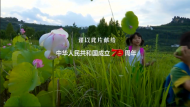 从“白日”到“夜雨” 刁亦男：好电影当留下好口感和气味