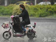 雙臺風來襲！5日后安徽淮河以南有一輪降雨