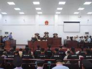 非法倒卖土地 阜阳22人涉嫌黑社会组织性质案一审开庭
