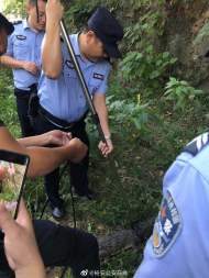 六安：河邊發(fā)現(xiàn)一條一米長(zhǎng)暹羅鱷  民警及時(shí)捕獲送至動(dòng)物園安置