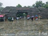 合肥野生動物園新黑猩猩館啟用  皖星陽陽入住新家