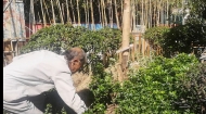 合肥一位老人開辟街頭廢墟種花草 這里是“爺爺的轉角花園”
