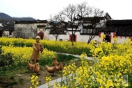 六安40個鄉(xiāng)村 上榜美麗鄉(xiāng)村示范村名單