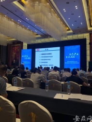 2019世界制造业大会涡阳招商专场新签项目115亿元