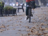 未来7天合肥天气晴好 10月16-17日有大风降温