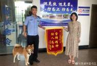 蕪湖：輔警巡邏發現走失柴犬  發微信朋友圈找到主人