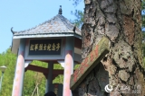 【新中国从这里走来】老区人民日子越过越亮堂