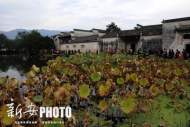 黟縣宏村等寫生基地顏料廢水將依規處置
