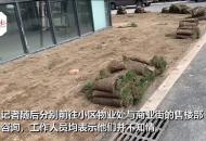 合肥一小區水泥地上鋪草坪 售樓處與物業均稱不知情