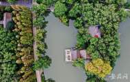 網友反映合肥包河公園出現很多毛毛蟲    包河區政府回復