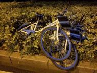六安城區集中清理違停共享單車