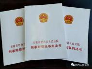 最高25年 唐俊領等27人黑社會性質組織犯罪案一審宣判