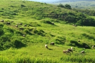 滁州南譙區(qū)大柳鎮(zhèn)將躋身國家衛(wèi)生鄉(xiāng)鎮(zhèn)