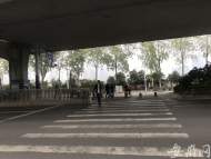 合肥一路口信號燈“瞎”指揮 市民：過馬路提心吊膽