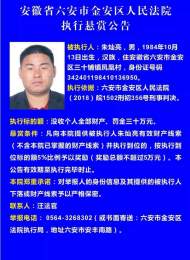 六安市金安法院發布朱燦亮等11人懸賞公告