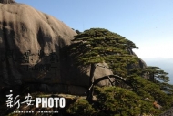 國慶長假期間 黃山景區換乘車在黃山湯口嶺不下客