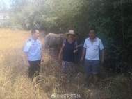 六安：大水?！皾撎印? 警民合力找回