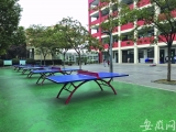 合肥1600多人规模的小学竟多年无操场